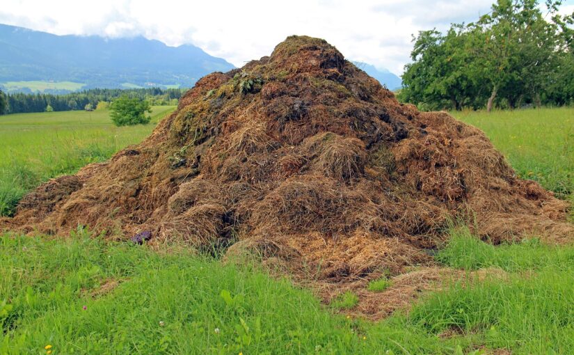 Heat Your Home with Compost: The Biomeiler Revolution!