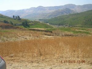 Land in Sicily - Cannatella Feotto