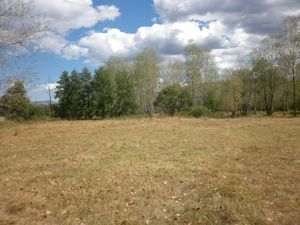 Nice plot of land with mineral spring located near spa resort town 30 km away from Montana,Bulgaria
