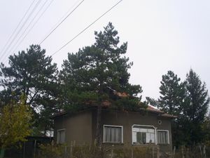 Nice and solid country house with garage and summer kitchen