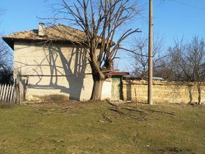 Old rural property with plot of land situated near forest