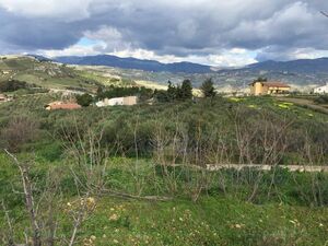 Panoramic Villa and land in Sicily - Villa Longo Cda Marullo
