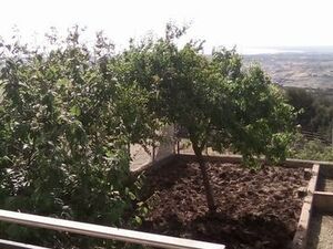 Seaside Apt in Sicily - Apt Pasquale Sciacca