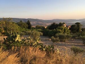 Panoramic House and land in Sicily - Villa Andrea Sambuca