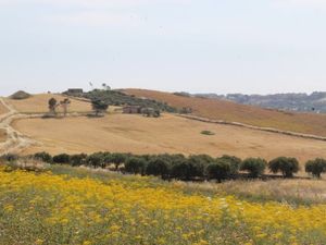 Land in Sicily - Cognata Cda Ciniè