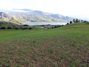 sh 603 land plot, Caccamo