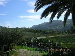 Villa and land in Sicily - Villa Perconti Cda Mavaro