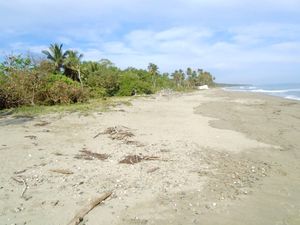 BEACHFRONT LAND FOR CONSTRUCTION PROJECT IN GASPAR HERNANDEZ