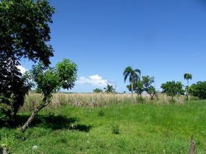 Land for construction project near beach in Cabarete