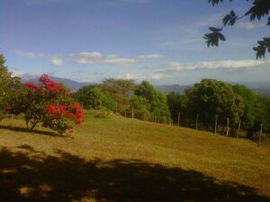 Beautiful land - 700m from golf course, Boquete, Panama