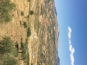 Villa and land in Sicily - Villa Panoramica Thomas 