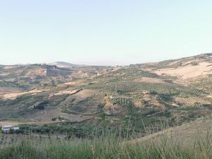 House and land in Sicily - Casa Tammuzzo Cda Petraro