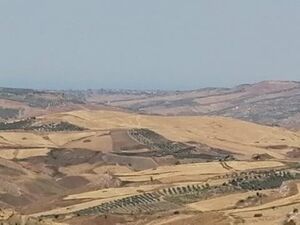 Panoramic House in Sicily - Casa Traina Cutrone