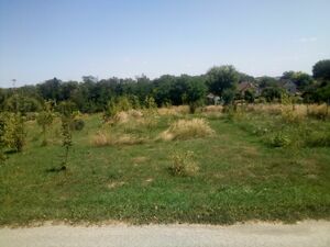 Plot for sale