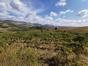 Panoramic land in Sicily - Cda Aquila S.Margherita Belice