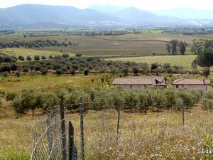 Estate Arrideli perfect for cohousing