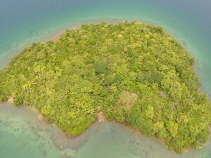 Taytay, Palawan Island and seashore for sale!
