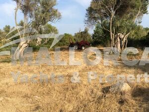 Rustic Building Plot  CAPDEPERA (NORTHEAST MALLORCA)