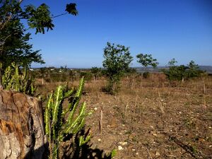 LAND WITH OCEAN VIEW FOR CONSTRUCTION PROJECT PUERTO PLATA