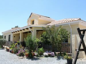 Beautiful house, pool and large olive grove. FSRN100
