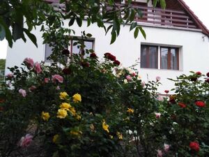 Spacious family house for sale close to Budapest, Hungary 