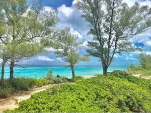 Double lots Green Turtle Cay Bahamas