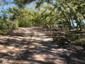 5,200 Sq ft Beachfront lot North Andros Bahamas