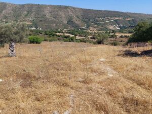large residential plot of 8,362 sqm2 