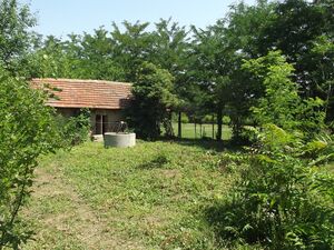 Partially renovated country house with annex, garage and vas
