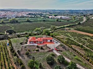 Farm near Óbidos