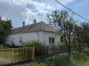 Completely and completely renovated house