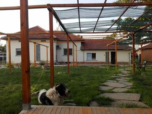 Renovated property in Pavel village is situated in the Danub