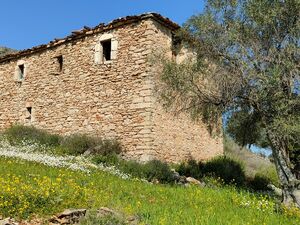 Amazing plot and house in Greece