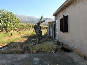  Buildings and Olive Grove. Close to the Sea - East Crete