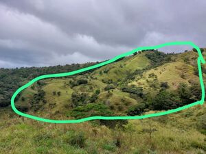 Cattle ranch for sale in Caldera, Boquete, Panama