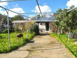  Detached Cottage with Lovely Garden - East Crete