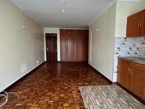 Modern beautifully done clean bedsitter to let at at Ngara