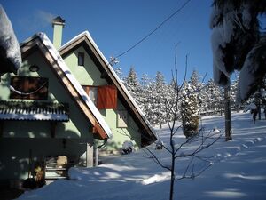 House for sale Zlatibor-selo Sainovci, Serbia