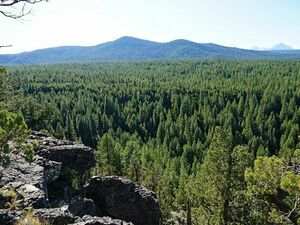 58 BOULDERS BEND 119, Bull Springs Skyline Forest