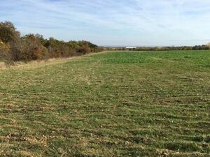 Agricultural land in Plovdiv region with a total of 19600m2 