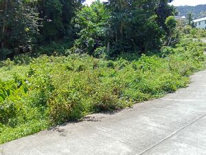 Land For Sale In Picard, Portsmouth