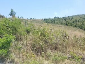 1 Acre Lot For Sale At Cuba Road, Mero