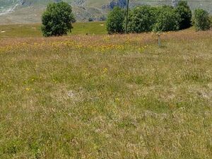 Land for sale Zabljak, Montenegro