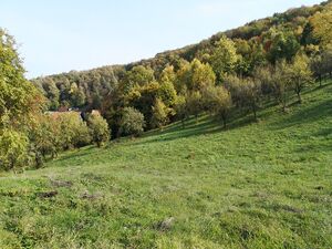 Land for sale in Banja Koviljaca, Serbia