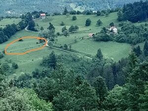 Sale of land in the mountains of Tara, Serbia