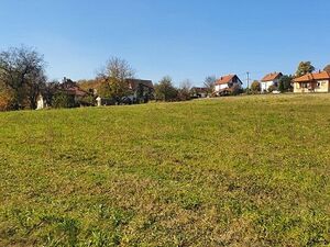 Building land (60 minutes from Belgrade by highway)