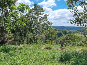 Beautiful Land in Perez Zeledon Costa Rica