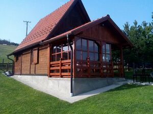 A cottage for sale in Kremna-Tara, Serbia