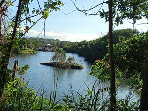 FOR SALE LAKEVIEW FARMLOT @ BRGY. PAOWIN CAVINTI LAGUNA