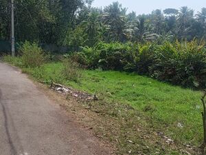 Acreage For Sale In Kerala in india